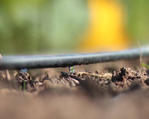 Irrigação Localizada